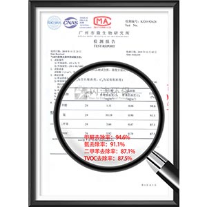 氣態(tài)污染物去除率檢測報告..